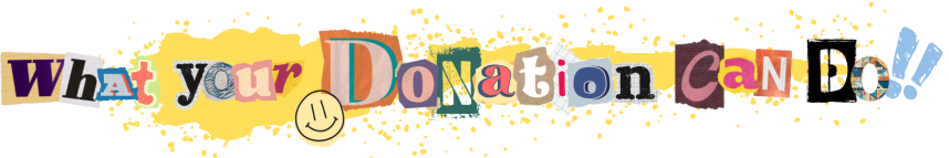 What_your_Donation_Can_do-0002.png